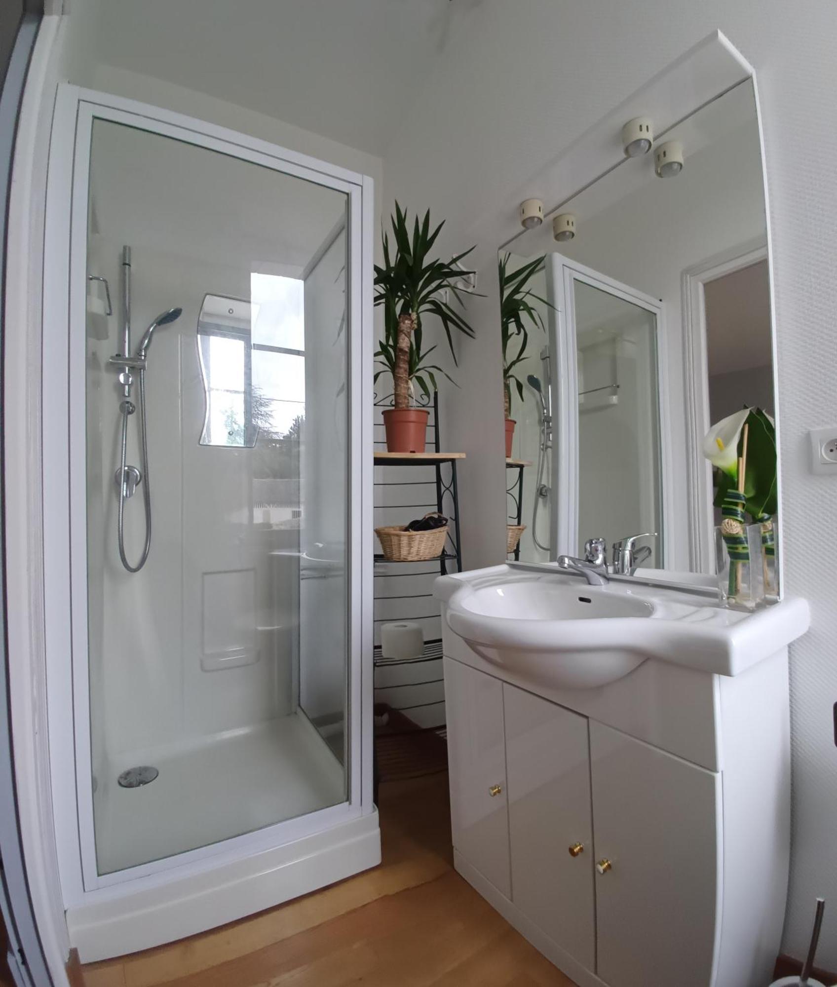 Le Jardin Des Lys - Chambre D'Hote Ou Appartement La Roche-Posay Bilik gambar